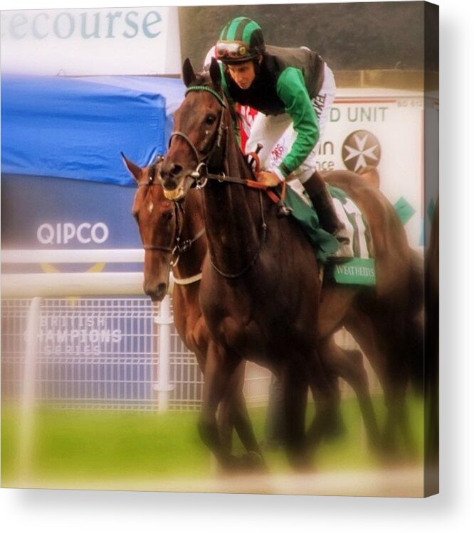 Horses Acrylic Print featuring the photograph Horse Racing At York Races. #horse by David Cook