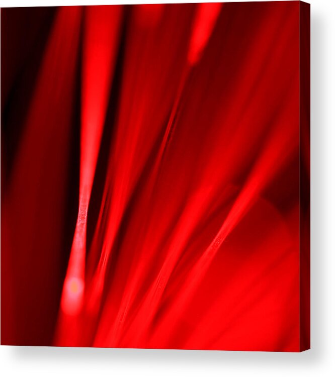 Triptych Acrylic Print featuring the photograph Hot Blooded Series Part 2 by Dazzle Zazz