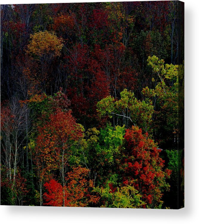 Landscape Acrylic Print featuring the photograph I Love October by Eric Switzer