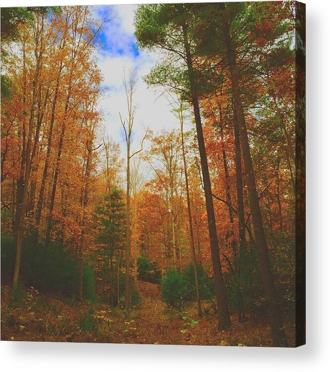 Asheville Acrylic Print featuring the photograph Octobers by Simon Nauert