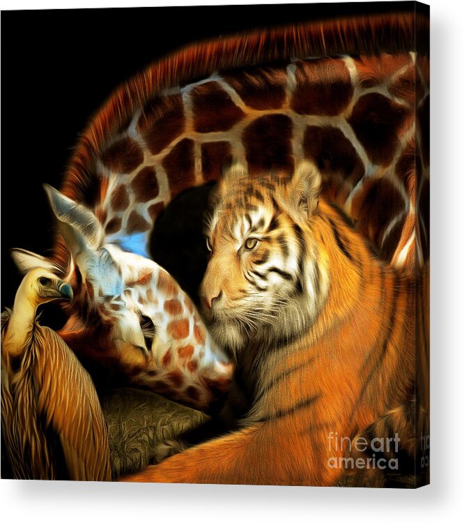 Tiger Acrylic Print featuring the photograph In The Jungle 20150215brun square by Wingsdomain Art and Photography