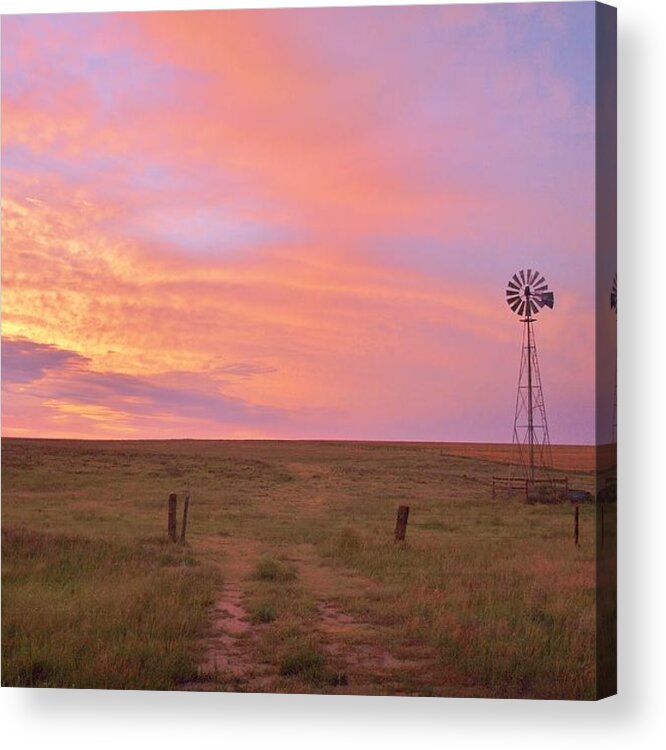 Landscape Acrylic Print featuring the photograph In the Pink Sunrise by Shirley Heier