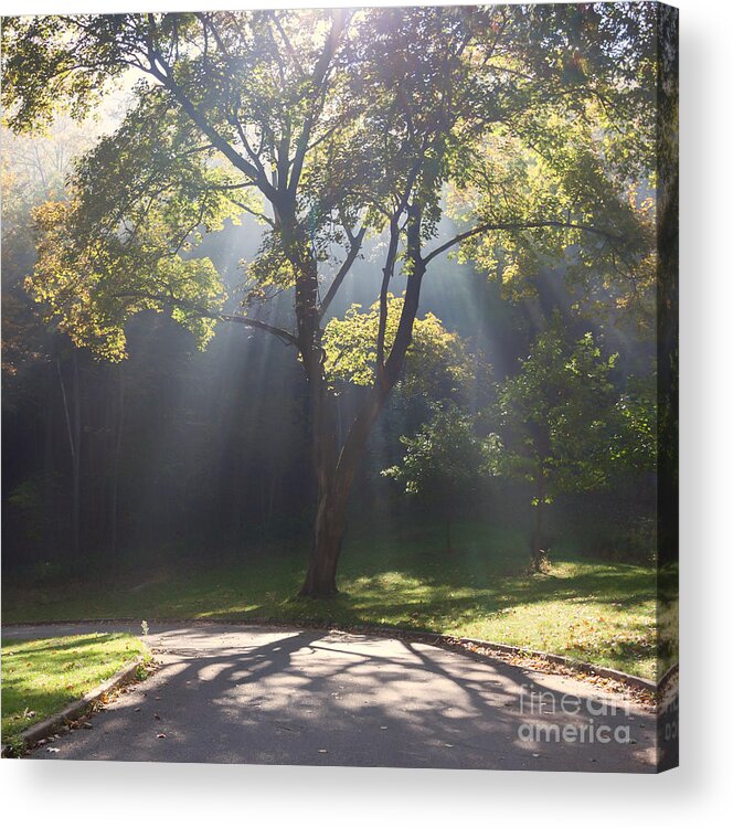 Winona Mn Acrylic Print featuring the photograph Inspirational Scene Sun Streaming Fog Square by Kari Yearous