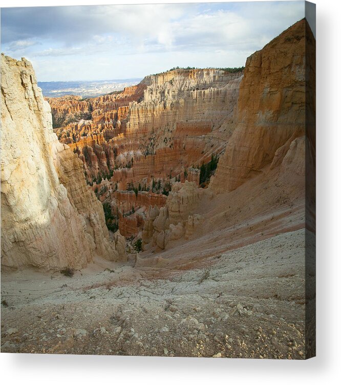 Bryce Canyon Acrylic Print featuring the photograph Into the Vortex by Laura Tucker