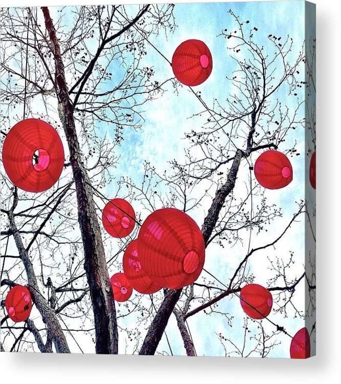 Redthursday_circles Acrylic Print featuring the photograph Look Up by Julie Gebhardt