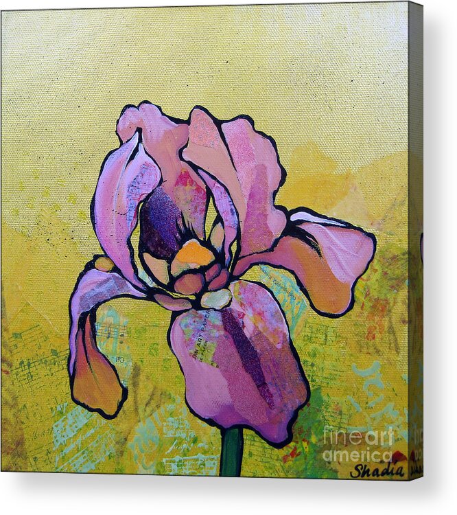 Flower Acrylic Print featuring the painting Iris I by Shadia Derbyshire