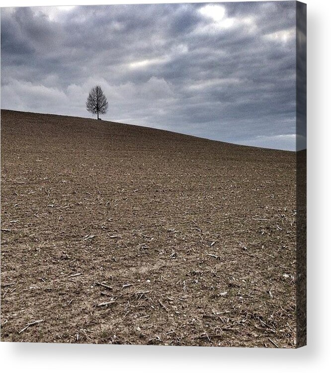  Acrylic Print featuring the photograph It's Lonely At The Top by Urs Steiner