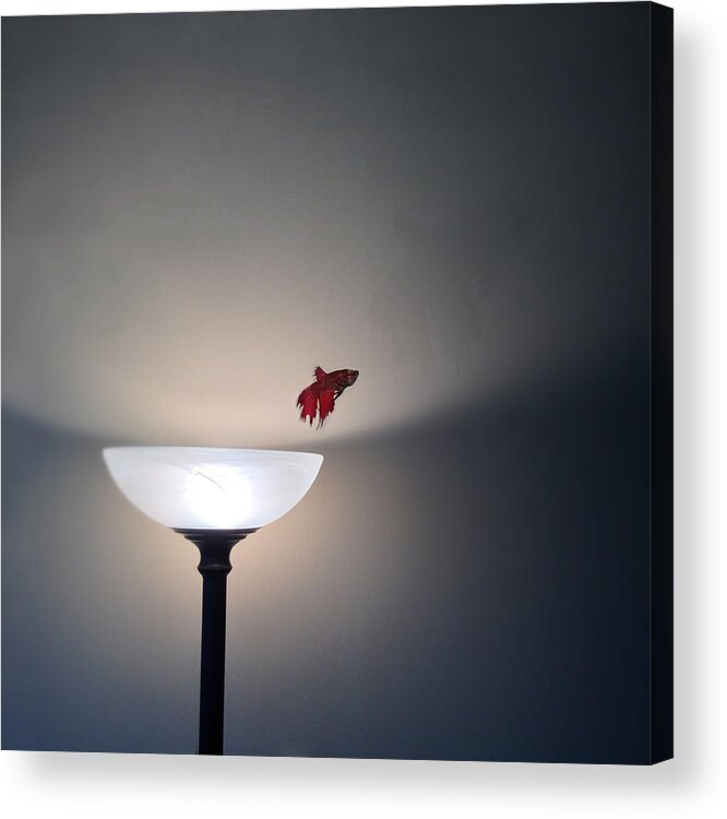 Fish Acrylic Print featuring the photograph Jump by Kevin Bergen