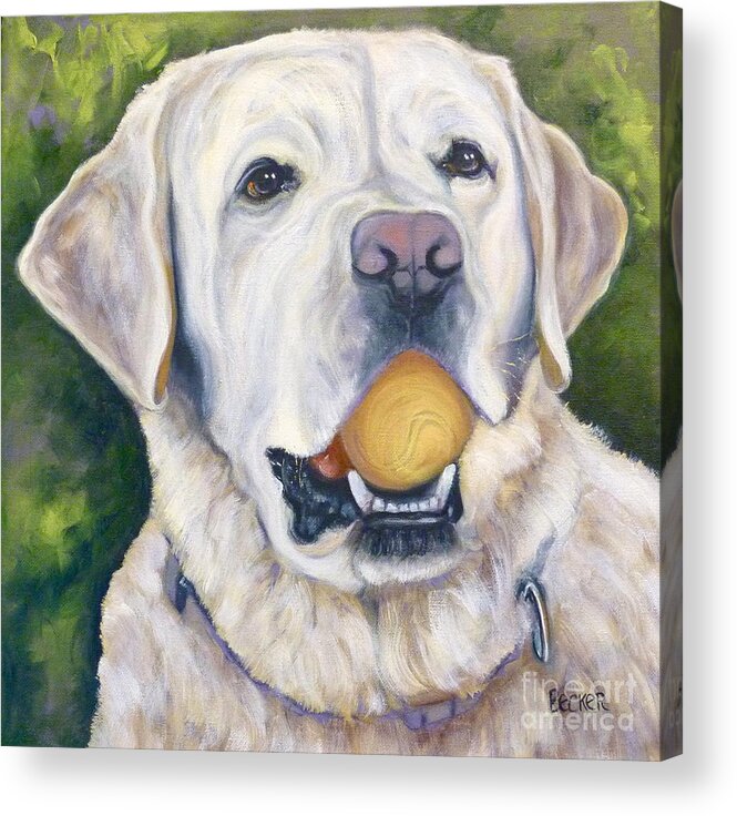 Dog Acrylic Print featuring the painting Lab with Orange Ball by Susan A Becker