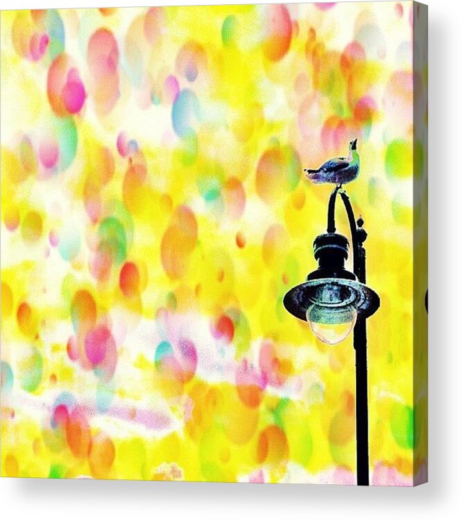 Abstract Acrylic Print featuring the photograph Lamp Post by Chris Drake