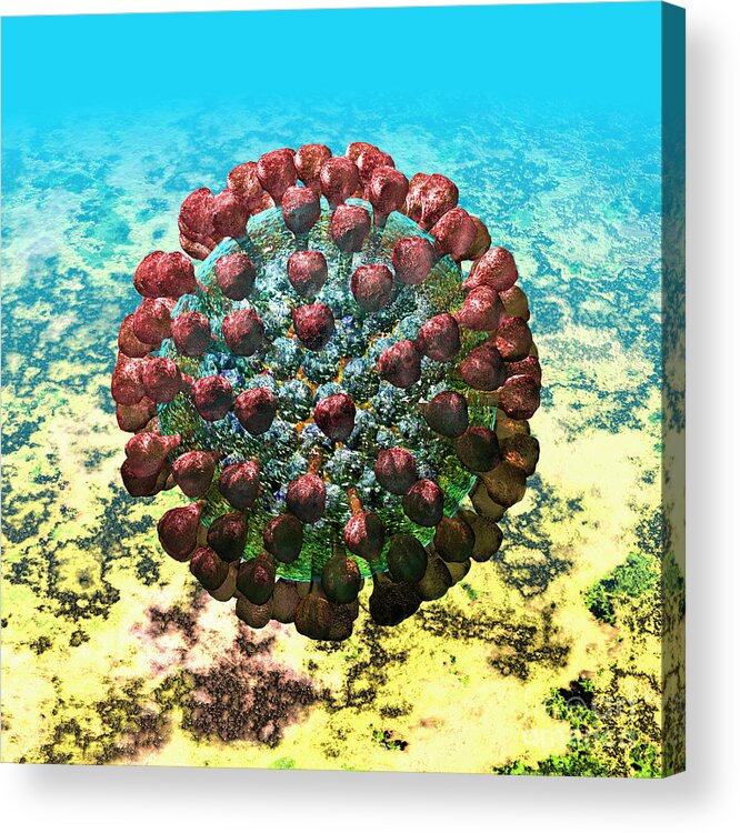 Acute Acrylic Print featuring the digital art Lassa virus #4 by Russell Kightley