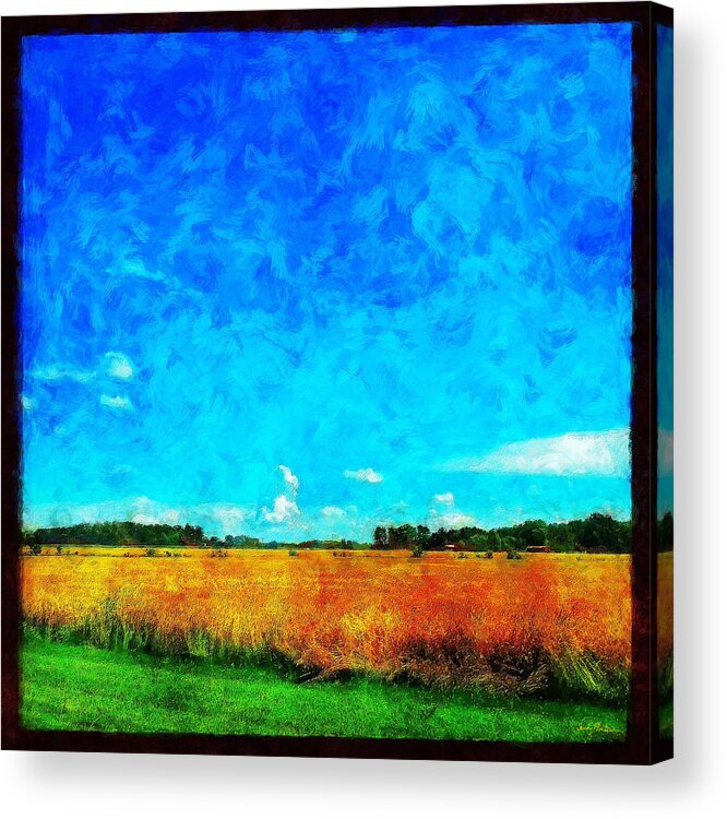 Field Acrylic Print featuring the painting Lazy Clouds in the Summer Sun by Sandy MacGowan