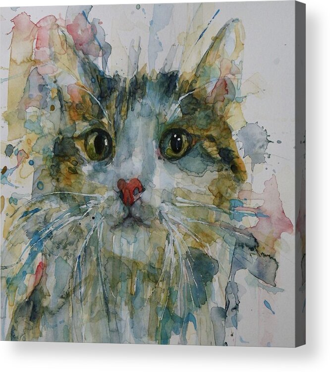 Cat Acrylic Print featuring the painting Le Chat by Paul Lovering