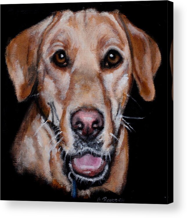 Yellow Labrador Acrylic Print featuring the painting Lee by Carol Russell