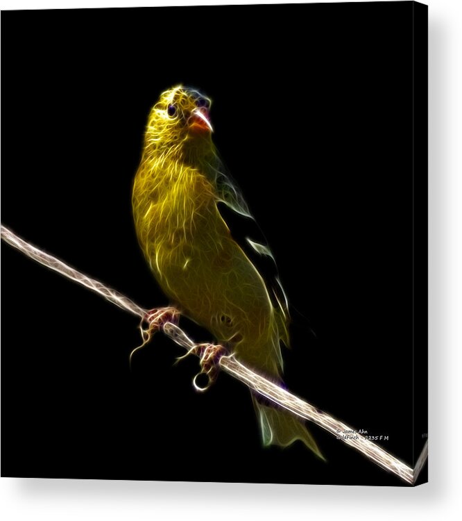 Goldfinch Acrylic Print featuring the digital art Lesser Goldfinch - 2235 F by James Ahn