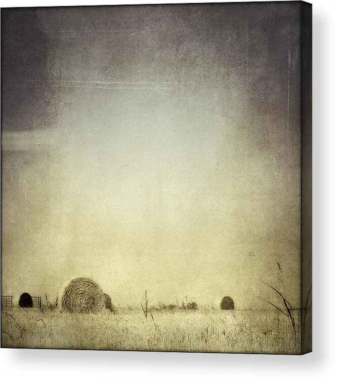 Drought Acrylic Print featuring the photograph Let the Rain Come Down by Trish Mistric
