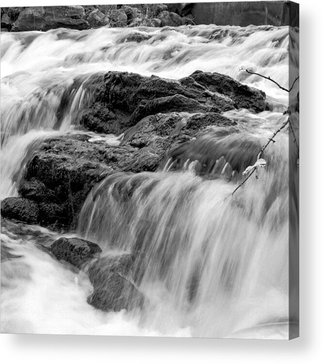 Black And White Acrylic Print featuring the photograph LeTort Spring 2 by John Daly