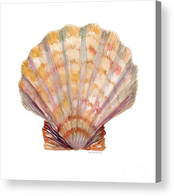 Shell Acrylic Print featuring the painting Lion's Paw Shell by Amy Kirkpatrick