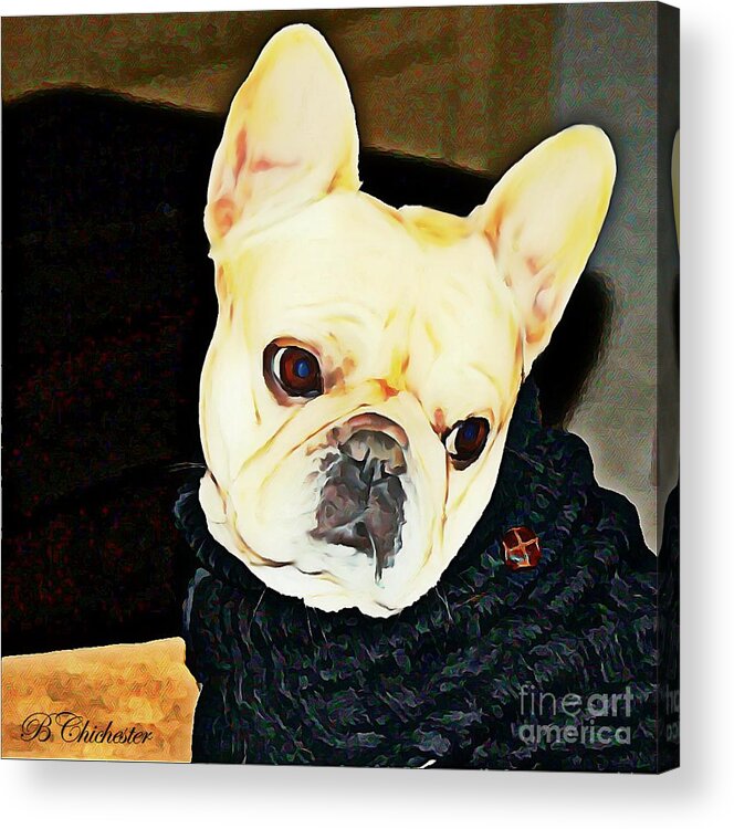 French Acrylic Print featuring the painting Little Black Sweater by Barbara Chichester