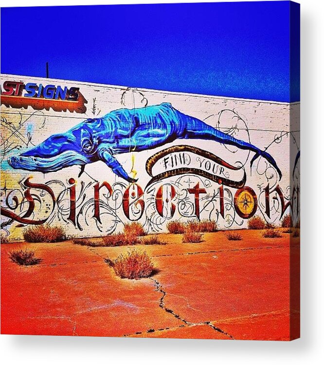 Phxstreetart Acrylic Print featuring the photograph Little Lost Whale At The Old Fast Signs by AZ Street Art