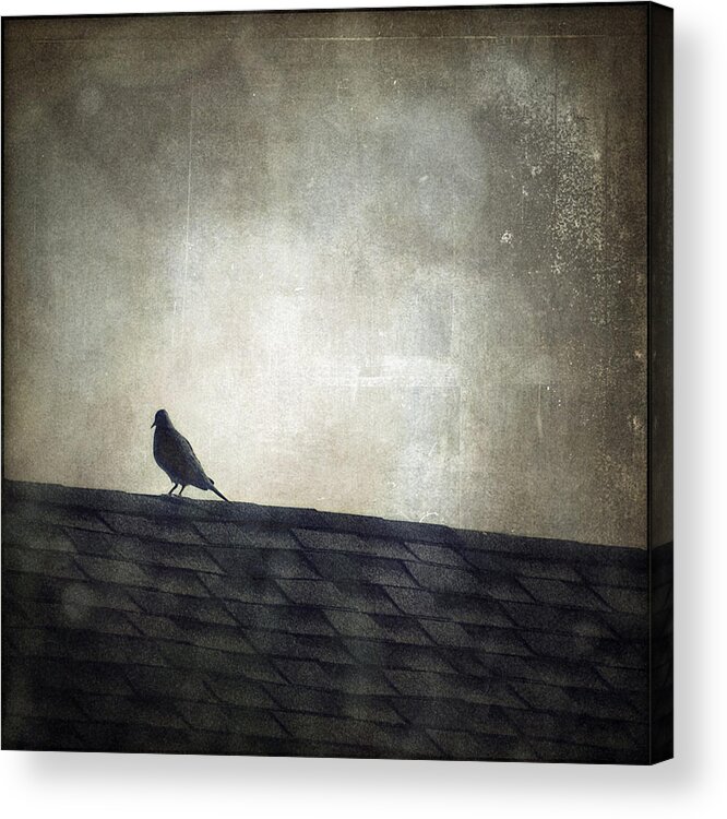 Texture Acrylic Print featuring the photograph Lonesome Dove by Trish Mistric
