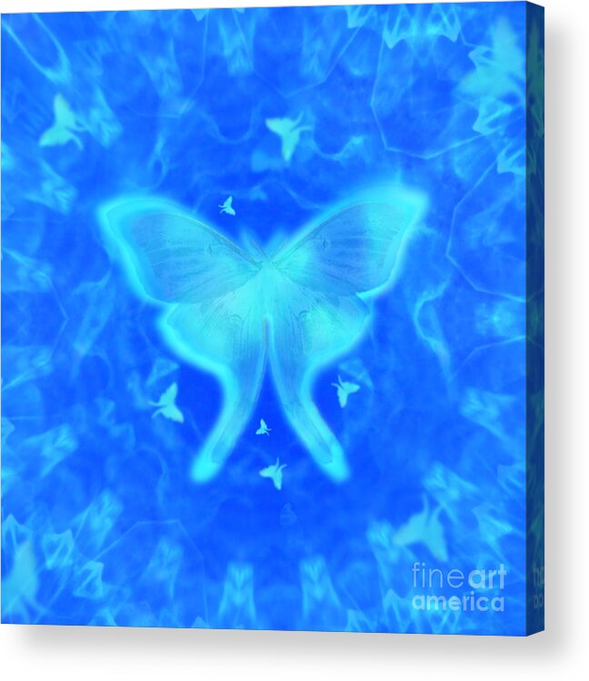 Nature Acrylic Print featuring the digital art Luna Moth Blue by Deborah Smith