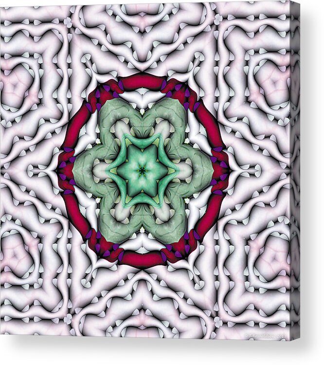 Psychedelic Art Acrylic Print featuring the photograph Mandala 7 by Terry Reynoldson