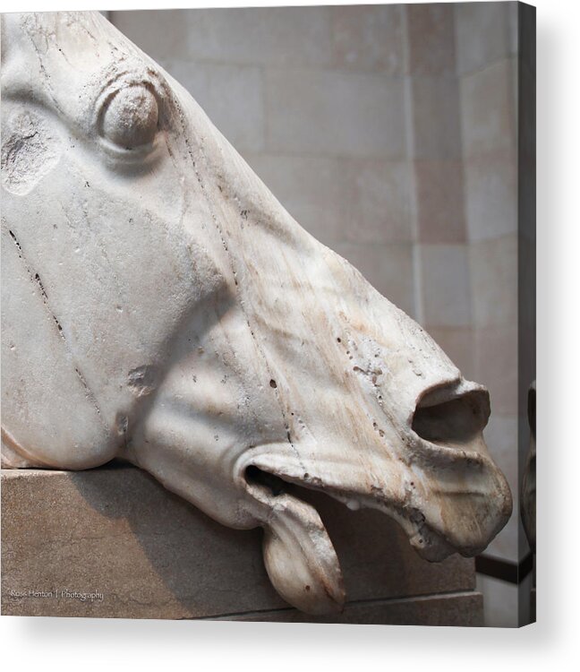 Equus Acrylic Print featuring the photograph Marble Equus by Ross Henton