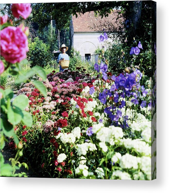 Garden Acrylic Print featuring the photograph Marie-helene Serreulles In Her Garden by Horst P. Horst