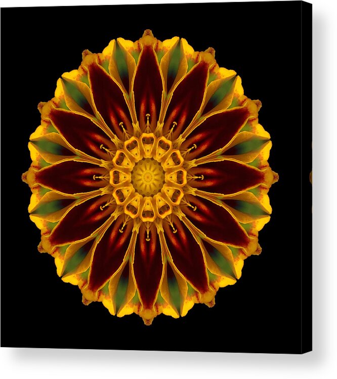 Flower Acrylic Print featuring the photograph Marigold Flower Mandala by David J Bookbinder