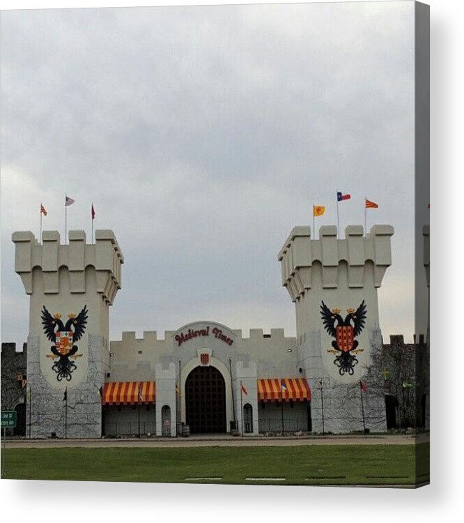 Nikon Acrylic Print featuring the photograph Medieval Times Dinner & Tournament by Kelli Stowe