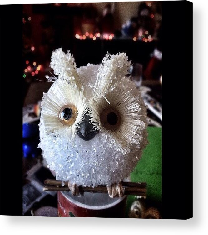 Owl Acrylic Print featuring the photograph Meet My Newest Little Buddy. I Love by James Crawshaw