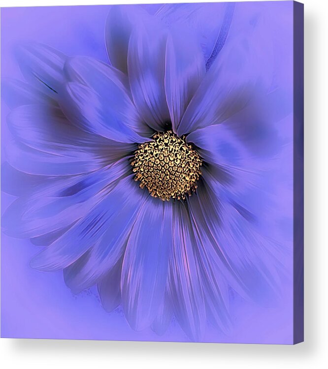 Floral Acrylic Print featuring the photograph Misty Blue by Darlene Kwiatkowski