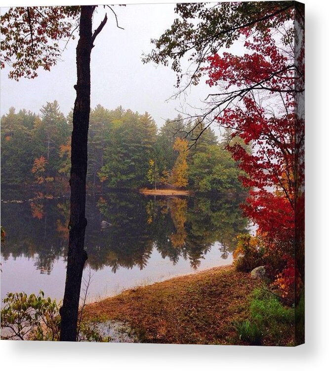 Ig_photolove Acrylic Print featuring the photograph Misty Morning Reflections by Amy Coomber Eberhardt