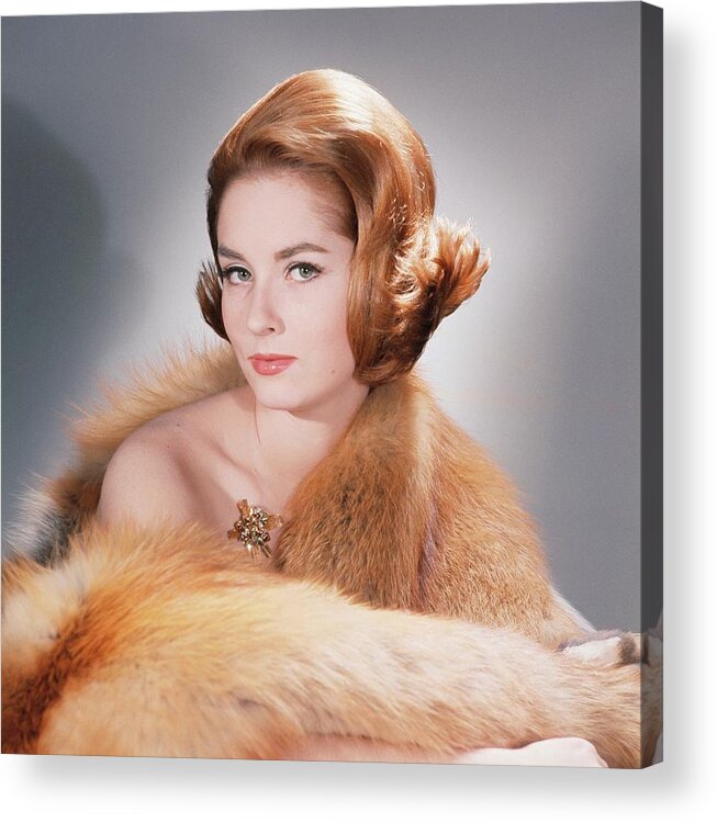 Studio Shot Acrylic Print featuring the photograph Model Wearing Fur Stole And Gold Brooch by Horst P. Horst