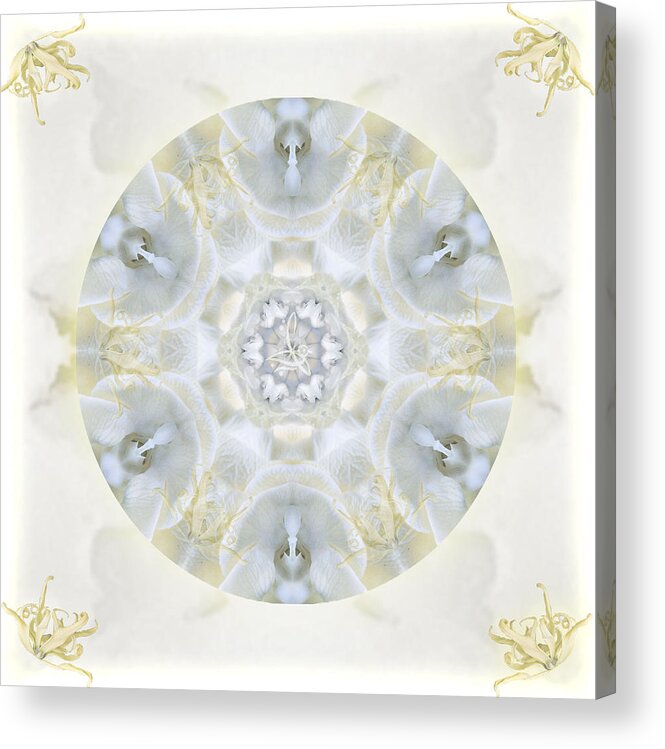 Mandala Acrylic Print featuring the digital art Monoi by Alicia Kent