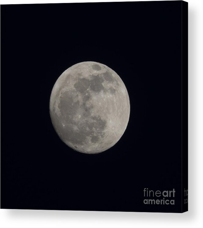 Full Moon Acrylic Print featuring the photograph Moon by Mats Silvan