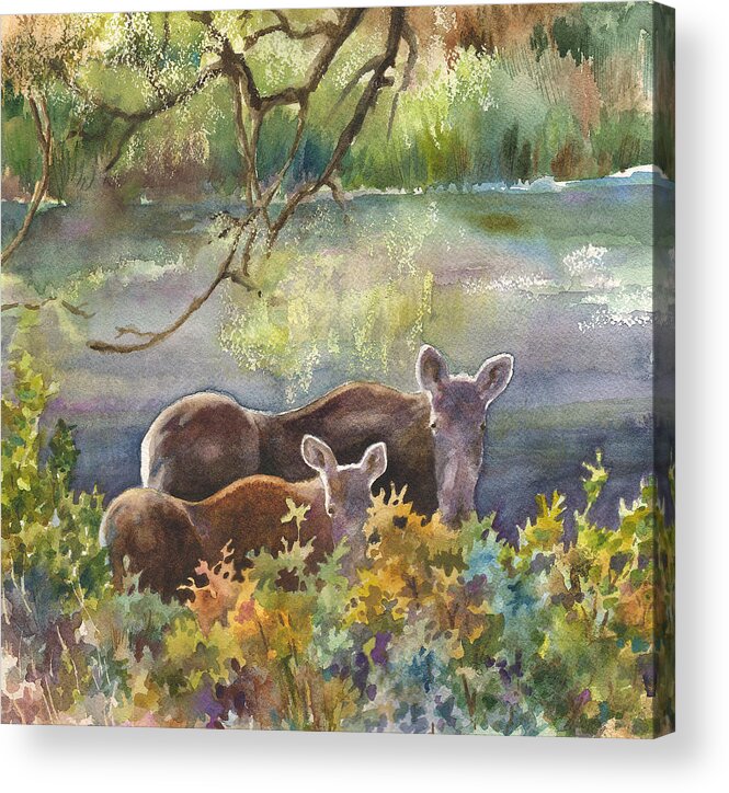 Mother Moose Painting Acrylic Print featuring the painting Moose in the Morning by Anne Gifford