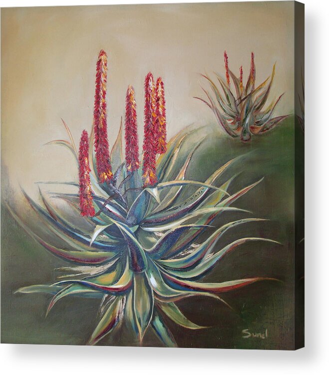 Aloe Acrylic Print featuring the painting More Aloes by Sunel De Lange