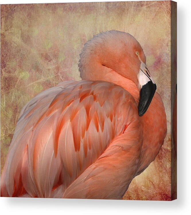 Flamingo Acrylic Print featuring the photograph More Than a Lawn Ornament by Kandy Hurley