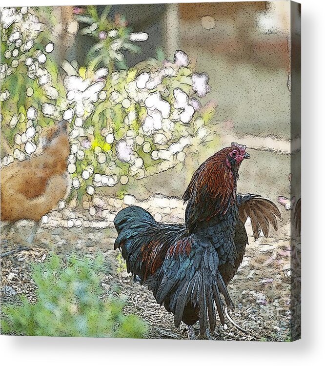 Rooster Art Acrylic Print featuring the digital art Mr. Rooster Struts by Artist and Photographer Laura Wrede