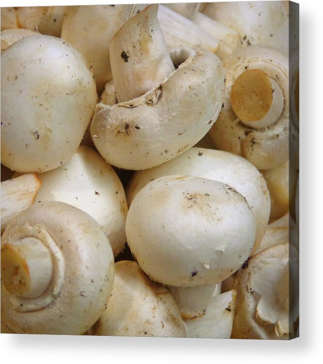 Skompski Acrylic Print featuring the photograph Mushrooms by Joseph Skompski