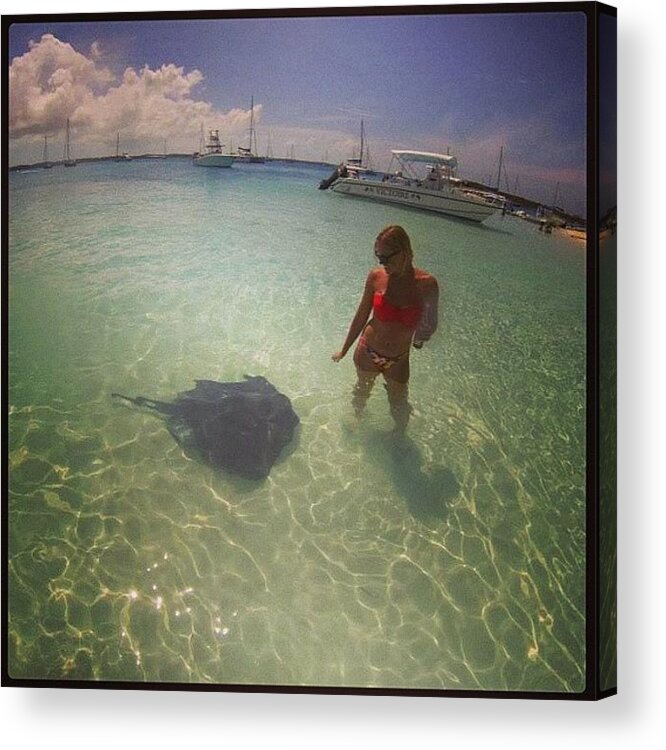 Goprophotography Acrylic Print featuring the photograph My Pet Sting Ray- I Named Him Barb by Marisa Fiore