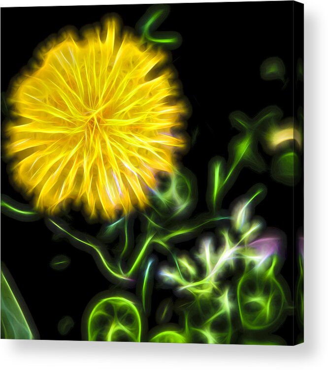 Flower Acrylic Print featuring the photograph Natural Electric beauty by Theodore Jones