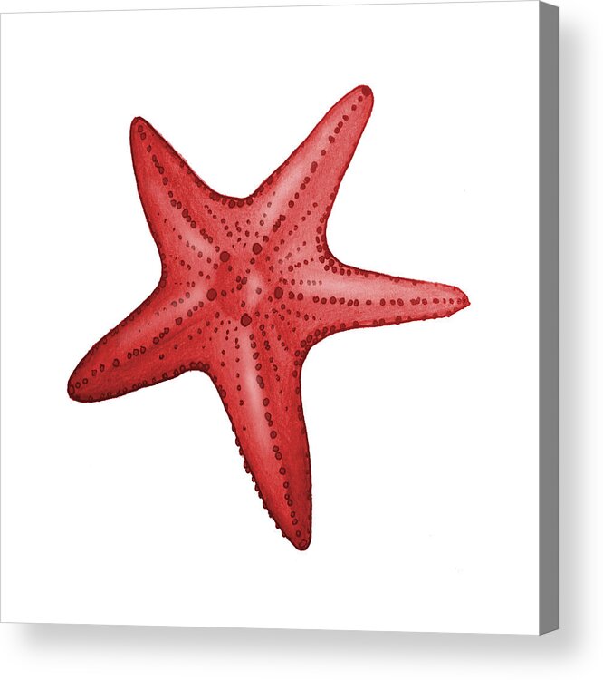 Red Acrylic Print featuring the digital art Nautical Red Starfish by Michelle Eshleman