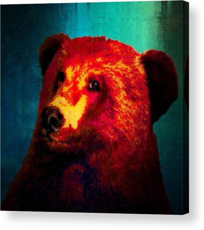 Bear Acrylic Print featuring the photograph Night Bear 2 by Timothy Bulone