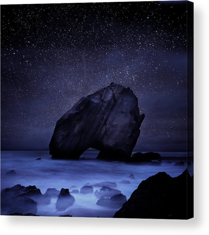 Night Acrylic Print featuring the photograph Night guardian by Jorge Maia