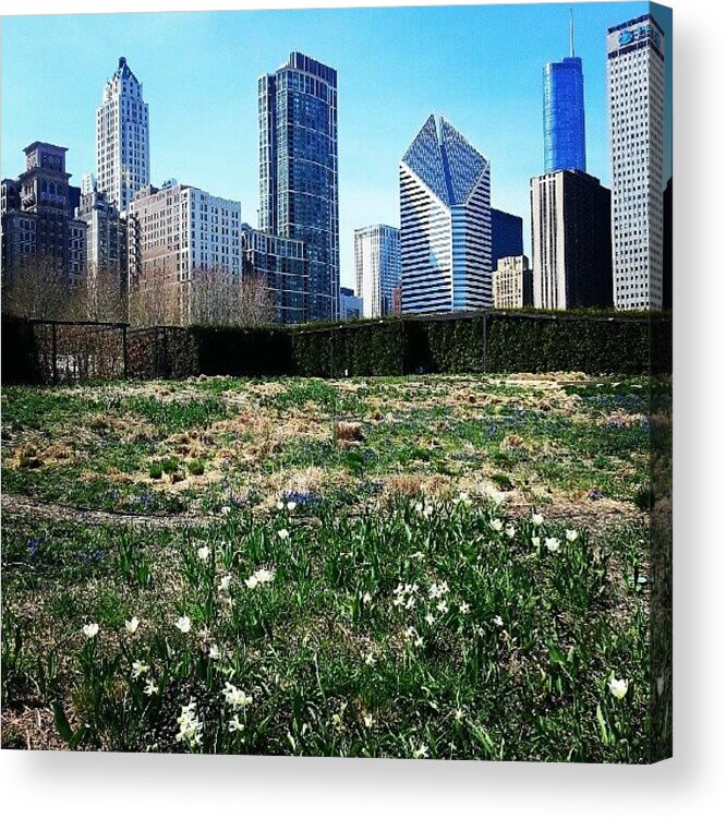 Spring Acrylic Print featuring the photograph No One In Chicago Should Be Inside This by Jill Tuinier