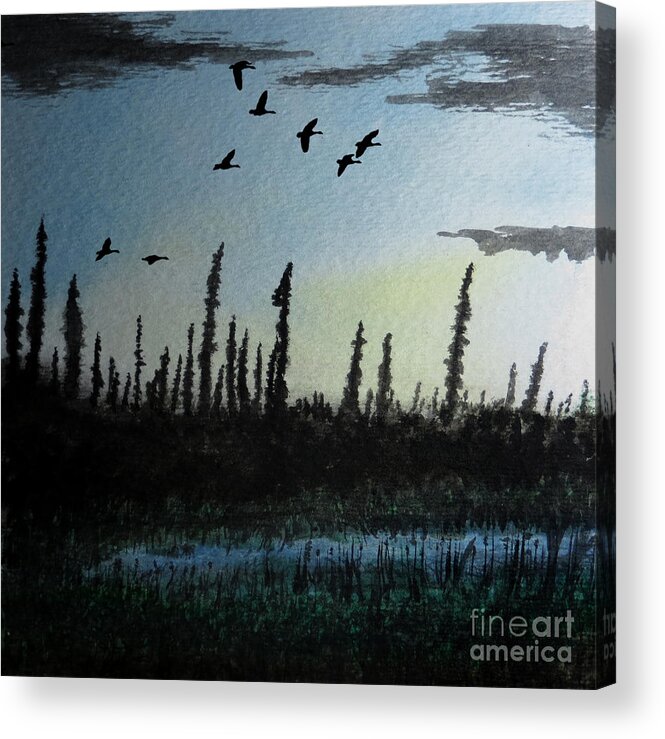 Limit North Geese Night Twilight Nightfall Evening Sunset Blue Yellow Northern Migration Waterfowl Dusk Pine Trees Tree Black Spruce Evergreen Landscape Sky Kyllo Silhouette Luminous Luminism Hunting Outdoors Outdoor Hunt Manly Masculine Male Canada Canadian Rugged Watercolor Painting Pond Lake Water Reeds Cattails Swamp Bog Cloud Clouds Calm Peace Peaceful Rest Restful Relaxing Quiet Silent ice Pruned Bush Rough Backcountry Wilderness Arctic Taiga Tundra Edge Acrylic Print featuring the painting Northern Limit by R Kyllo