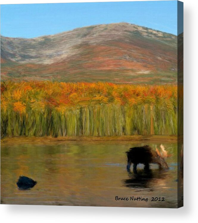 Mountain Acrylic Print featuring the painting Northwest Moose by Bruce Nutting